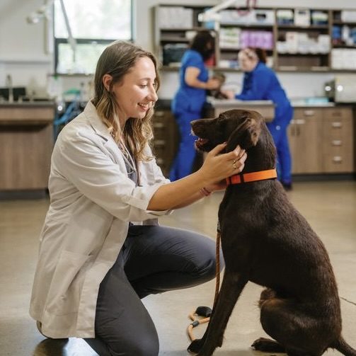 0E78165C-74B8-4DB7-BFCA-0B736FABC5EF_1_201_a