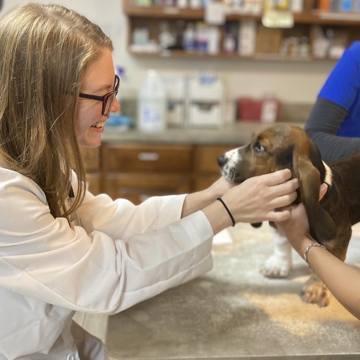APAH-veterinarian-and-beagle