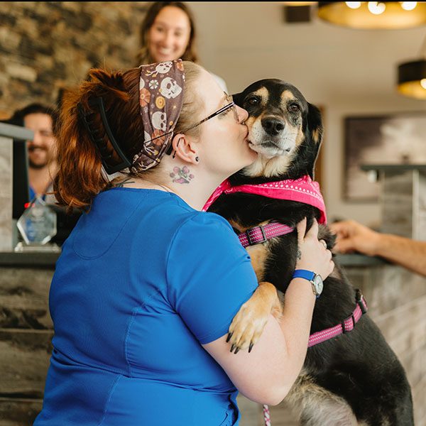 All-Pets-Animal-Hospital-Rogers-Kisses