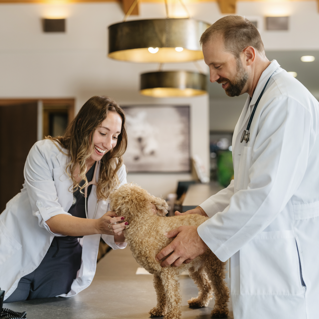 Screen Shot 2025-04-02 at 3.06.58 PM