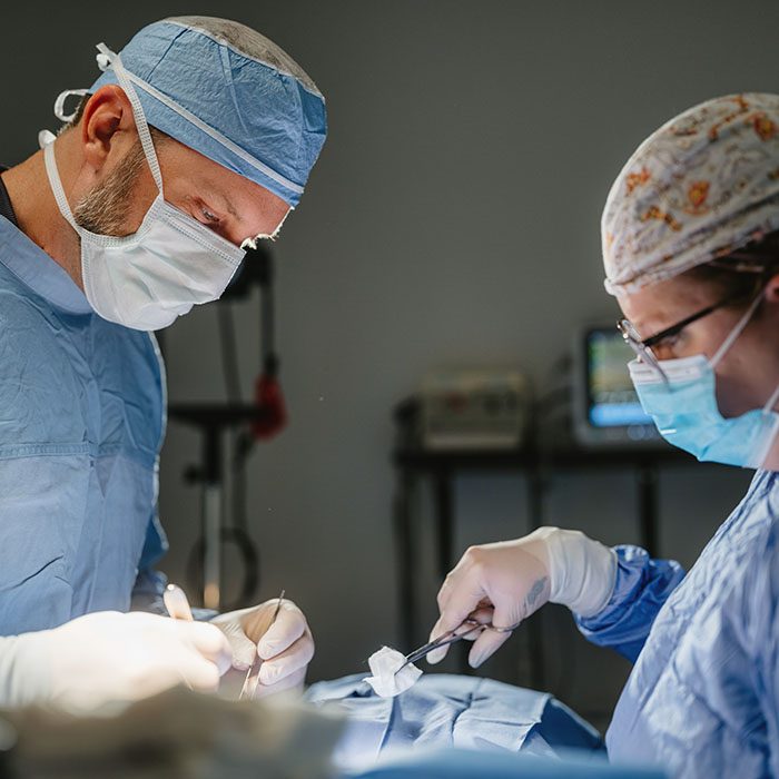 Veterinarians performing compassionate pet surgery